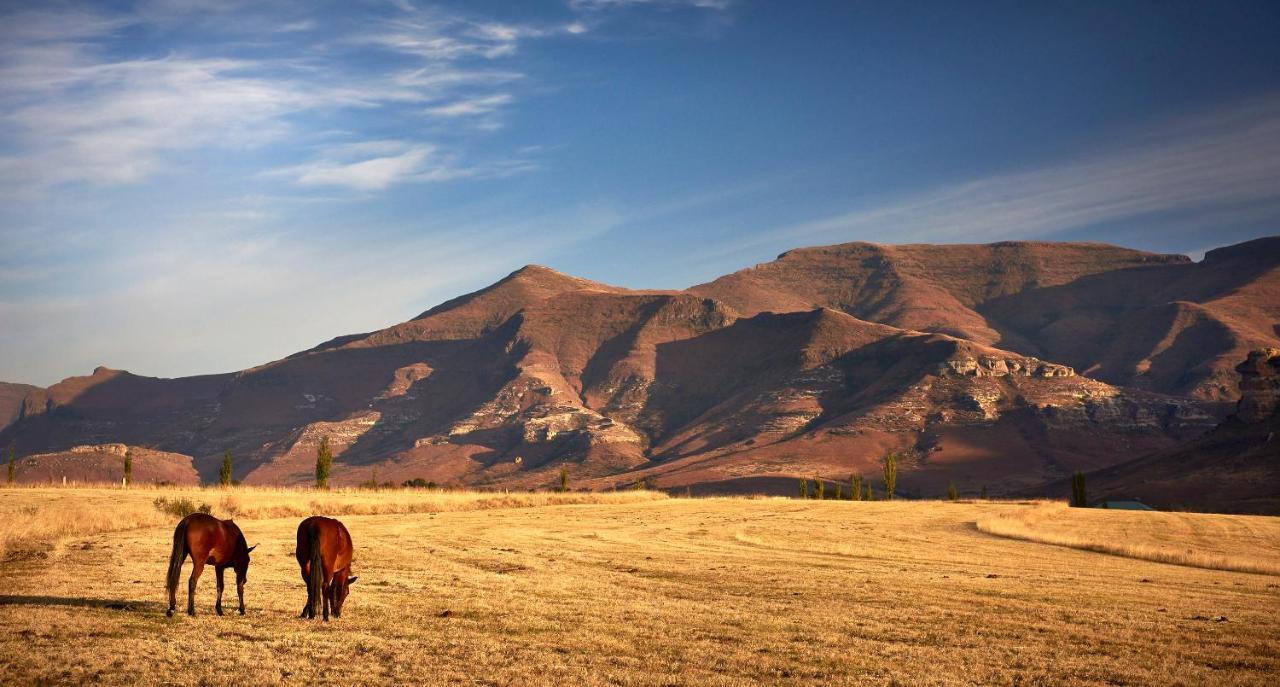 Dynasty Red Mountain Ranch Lejlighed Clarens Eksteriør billede